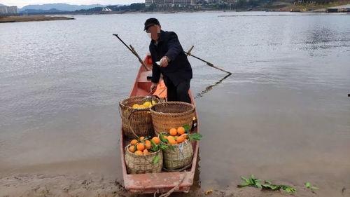 网友爆料渔船视频在线观看,渔船惊险瞬间,海上求生实况视频引关注 第2张 网友爆料渔船视频在线观看,渔船惊险瞬间,海上求生实况视频引关注 第2张